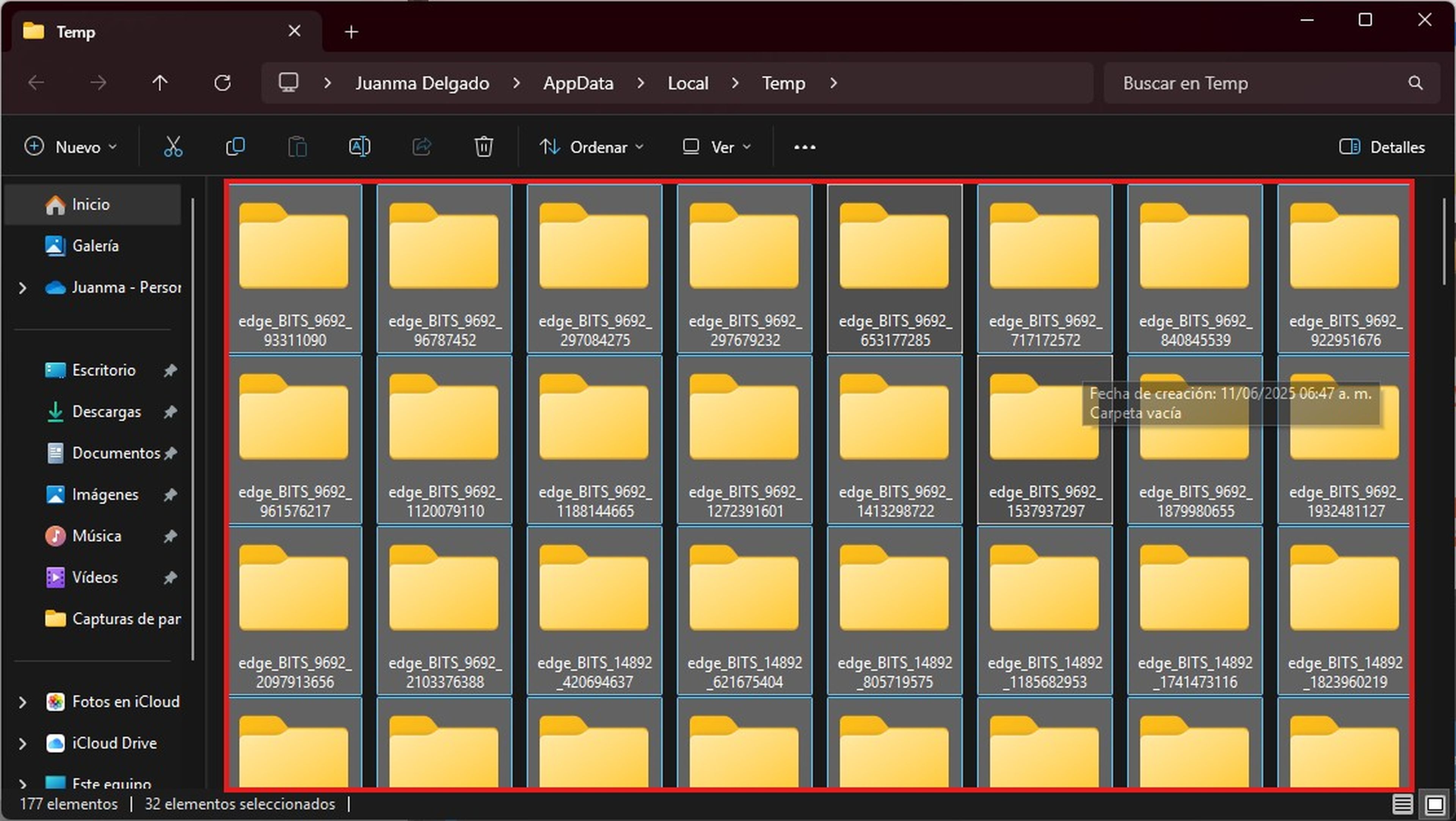 Delete the temporal files and the cache manually