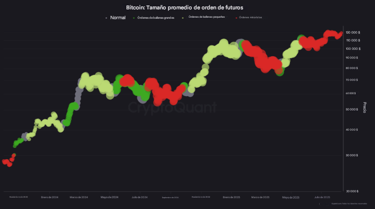 Average size of futures size graph.