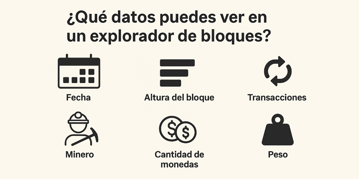 Various icons representing data that can be extracted with a block explorer.