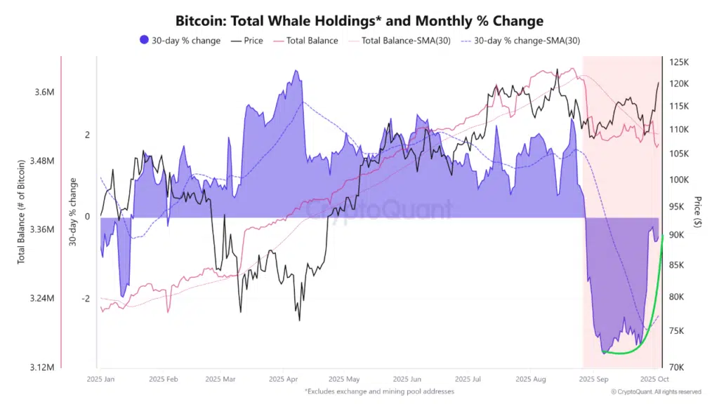 Wave and line chart showing Bitcoin whales behavior.