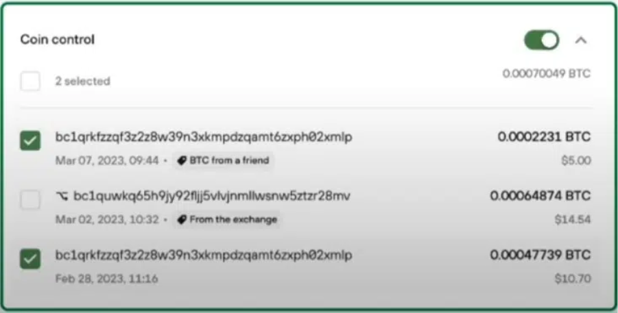 Interface from Coin Control to Trezor Suite.
