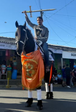 A man on horseback with a bitcoin logo and a sword raised.