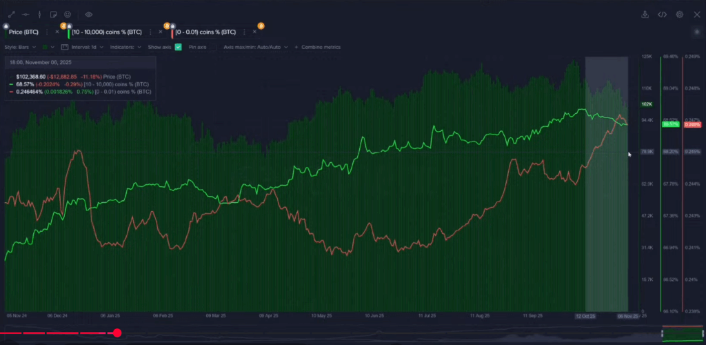graph with a black background and with orange and green lines that relates the purchases and sales of bitcoin