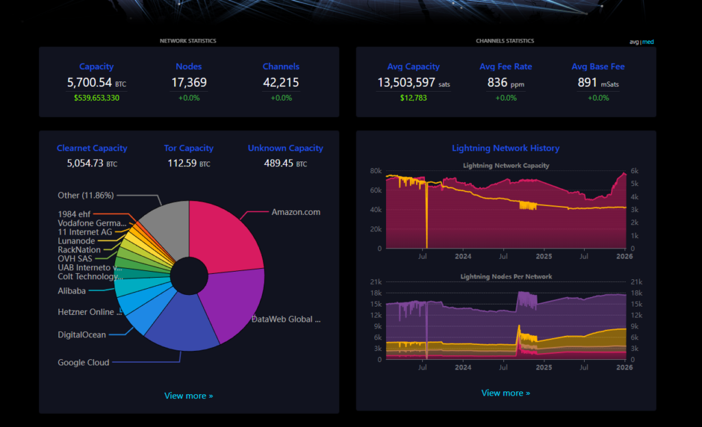 Data graph of the Bitcoin Lightning network in January 2026.