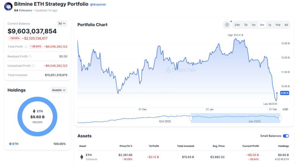Image showing the portfolio of BitMine, the company that has a treasury based on the Ethereum cryptocurrency.