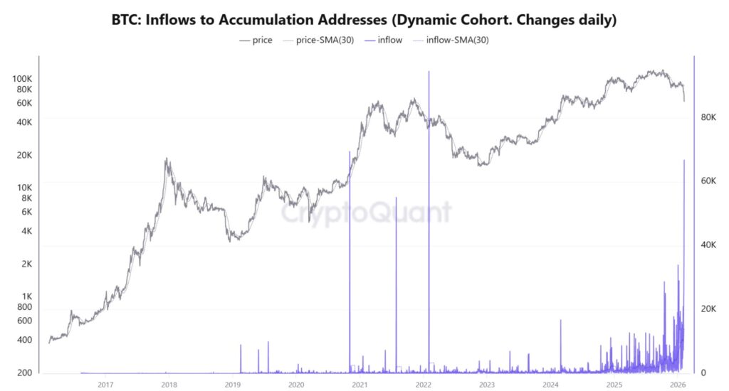 Chart showing daily BTC inflows to accumulation addresses.